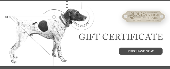 Hunting dog posed against white background buy “DOGS Unlimited Gift Certificates