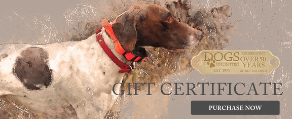 German Shorthaired Pointer, Gift Certificate