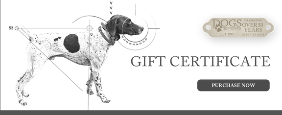 Hunting dog posed against white background buy “DOGS Unlimited Gift Certificates