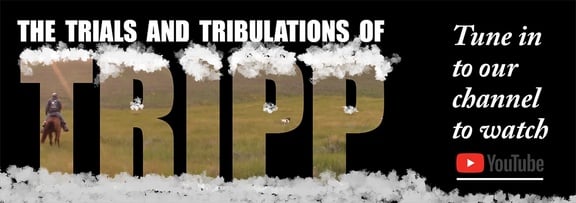 Trials and Tribulations of Tripp image