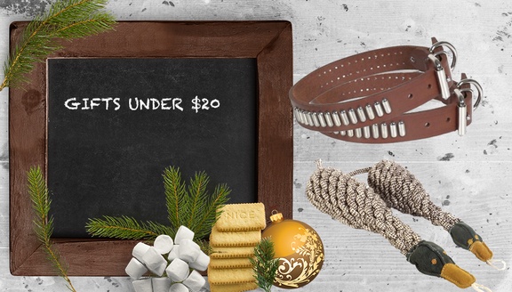 Christmas Gifts Under $20. Blackboard, Cookies, Ornaments, Evergreen Branches, marshmallows, Dog Toys, Dog Collars
