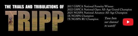 Tripp training for horseback field trials