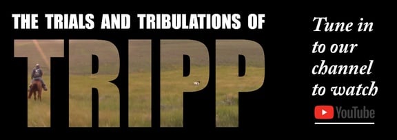 Trials and Tribulations of Tripp image