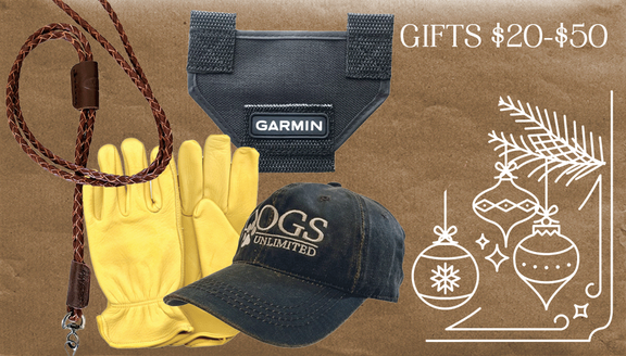 Gifts $100 or More GPS Dog Tracking System, Hunting Vest