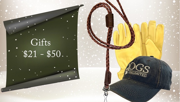 Gifts $100 or More GPS Dog Tracking System, Hunting Vest