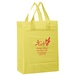 Color Frosted 10 x 5 x 13 Promotional Shopper Bags