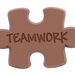 Teamwork Chocolate Puzzle Pieces