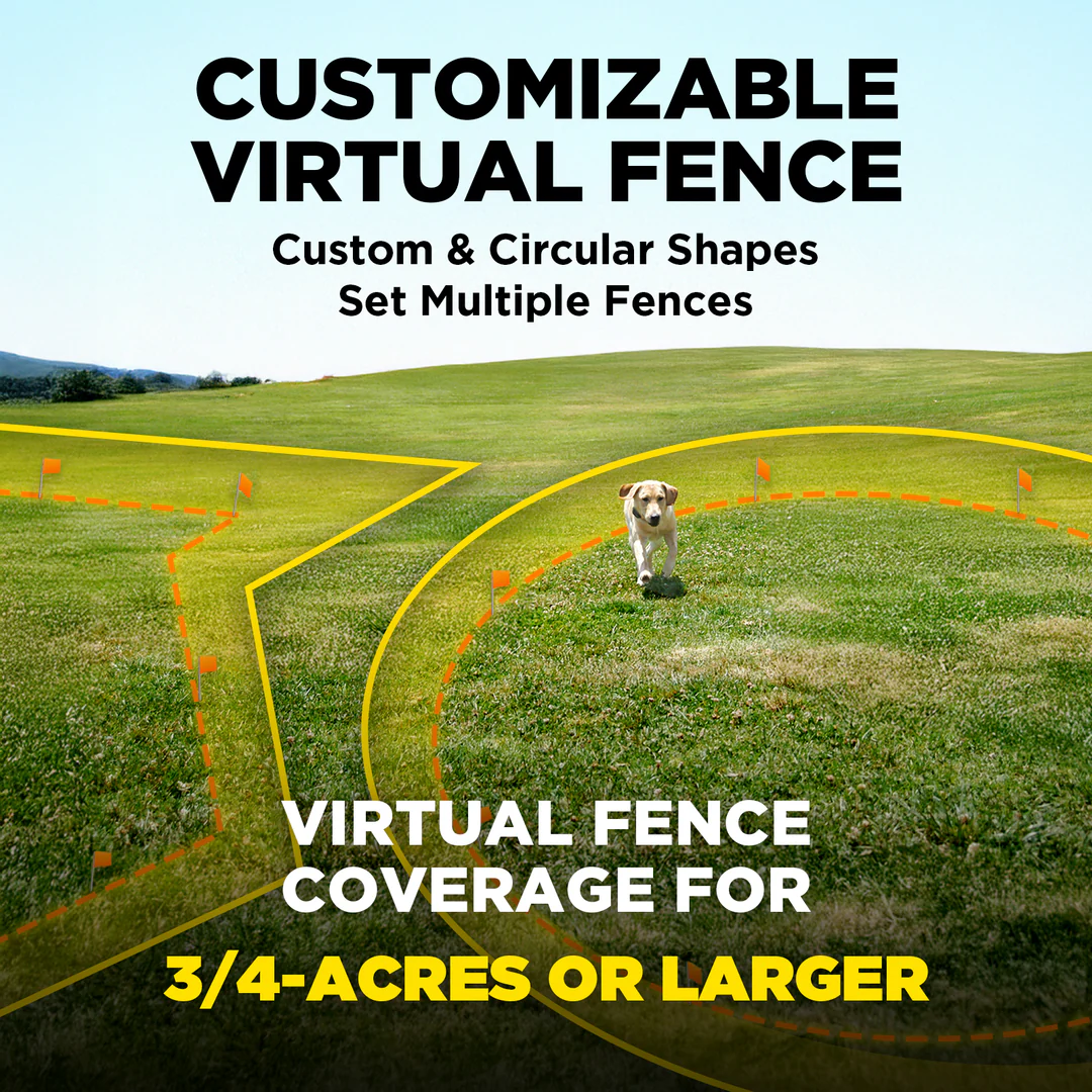 Dogtra, GPS FENCE
