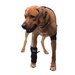 Caldera, Carpal Pet Therapy Wrap, Carpel/Elbow with Therapy Gel, Large