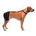 Caldera, Hip Pet Therapy Wrap with Therapy Gel, Large