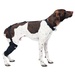 Caldera, Tall Stifle Pet Therapy Wrap with Therapy Gel, Medium