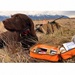 Dogworx Gear, K9 Medkit, Working Dog Edition