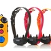 EZ-903 3-Dog Easy Educator Remote Dog Trainer