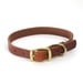 FieldKing, BTL Bridle Leather Dog Collar, Standard, 3/4" Wide