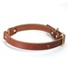 FieldKing, BTL Bridle Leather Dog Collar, Double Ring, 3/4" W