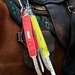 FieldKing, Field Trial Reflective Dog Collar, Hot Pink