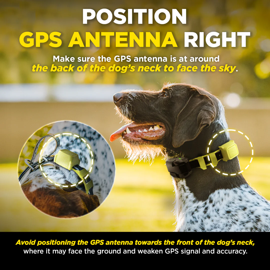 Dogtra, GPS FENCE