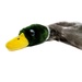 Kong, Wild Low Stuff, Mallard, Medium