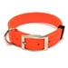 Nylon Dog Collar, D-End, 1" Wide, Orange