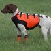 Sylmar, Body Guard Dog Vest, Safety Orange