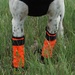 Sylmar, Leg Protection Tube, Front Leg, Orange