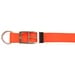 Nylon Dog Collar, D-End, 1" Wide, Orange