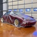 Car Condom Small 1 Pack Disposable Car Cover