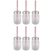 Sunshine Mason Co. Glass Mason Jar Set with Silver Lids and Red Stripe Straws, Set of 6