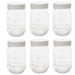 Sunshine&#x20;Mason&#x20;Co.&#x20;Pint&#x20;Regular&#x20;Mouth&#x20;Glass&#x20;Mason&#x20;Jars&#x20;with&#x20;White&#x20;Plastic&#x20;Storage&#x20;Lids&#x20;6&#x20;Pack