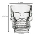 Sunshine Mason Co. Skull Shot Glasses 3D Scary, 6 Pieces
