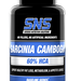 SNS Serious Nutrition Solutions Garcinia Cambogia 60% HCA - 90 Capsules