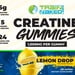 TNL Creatine Gummies 1g Creatine/Gummie  Mashed Berry - 120 Gummies