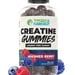 TNL Creatine Gummies 1g Creatine/Gummie  Mashed Berry - 120 Gummies