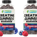 TNL Creatine Gummies 1g Creatine/Gummie  Mashed Berry - 240 Gummies (2 x 120 Ct Bottles) TWINPACK