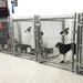 Kennel&#x20;Gear,&#x20;Chain&#x20;Link&#x20;Fence&#x20;Mount