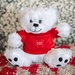 Happy Holidays 6" Big Paw Bear-Shirt