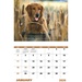 Sporting Dogs Wall Calendar (Stapled) 2026