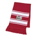 Two-Tone Knit Scarf with Fringe - Embroidered