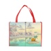 Sublimated Large Non-Woven Shopping Tote