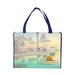 Sublimated Large Non-Woven Shopping Tote