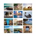 &quot;De Viaje a Puerto Rico&quot; Wall Calendar