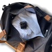 Deoblock Reusable Deodorizer