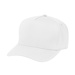 Two-Tone Strike Zone Cap