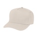Two-Tone Strike Zone Cap