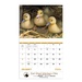 Baby Farm Animals Wall Calendar 2026