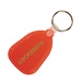 Teardrop Key Tag