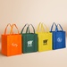 Reusable Grocery Tote