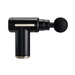 iLive Portable Cordless Massage Gun - Screen Print