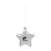 Star Ornament