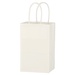 Kraft Paper White Shopping Bag - 5-1/4" X 8-1/4"